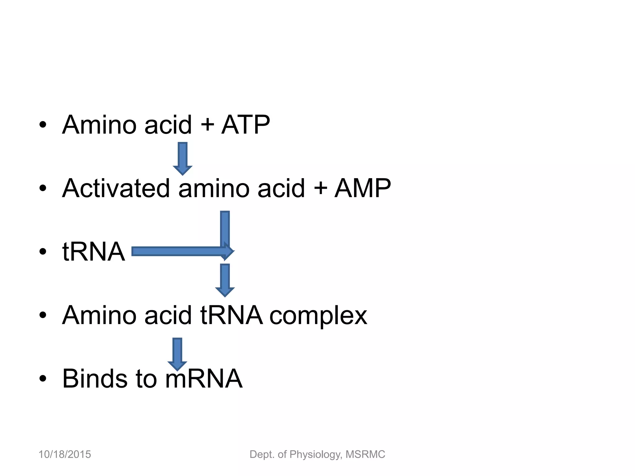 • Amino acid + ATP
• Activated amino acid + AMP
• tRNA
• Amino acid tRNA complex
• Binds to mRNA
10/18/2015 Dept. of Physiology, MSRMC
 