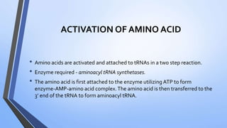 ACTIVATION OF AMINO ACID
• Amino acids are activated and attached to tRNAs in a two step reaction.
• Enzyme required - aminoacyl tRNA synthetases.
• The amino acid is first attached to the enzyme utilizing ATP to form
enzyme-AMP-amino acid complex.The amino acid is then transferred to the
3’ end of the tRNA to form aminoacyl tRNA.
 