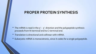 PROPER PROTEIN SYNTHESIS
• The mRNA is read in the 5’ - 3’ direction and the polypeptide synthesis
proceeds from N-terminal end to C-terminal end.
• Translation is directional and collinear with mRNA.
• Eukaryotic mRNA is monocistronic, since it codes for a single polypeptide.
 