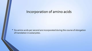 Incorporation of amino acids
• Six amino acids per second are incorporated during the course of elongation
of translation in eukaryotes.
 