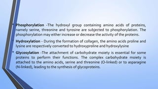 • Phosphorylation -The hydroxyl group containing amino acids of proteins,
namely serine, threonine and tyrosine are subjected to phosphorylation. The
phosphorylation may either increase or decrease the activity of the proteins.
• Hydroxylation - During the formation of collagen, the amino acids proline and
lysine are respectively converted to hydroxyproline and hydroxylysine
• Glycosylation -The attachment of carbohydrate moiety is essential for some
proteins to perform their functions. The complex carbohydrate moiety is
attached to the amino acids, serine and threonine (O-linked) or to asparagine
(N-linked), leading to the synthesis of glycoproteins.
 