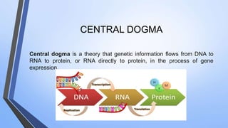 CENTRAL DOGMA
Central dogma is a theory that genetic information flows from DNA to
RNA to protein, or RNA directly to protein, in the process of gene
expression.
 