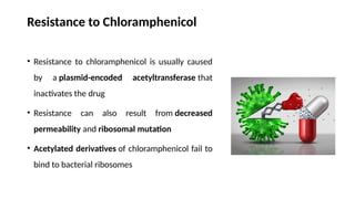 Resistance to Chloramphenicol
• Resistance to chloramphenicol is usually caused
by a plasmid-encoded acetyltransferase that
inactivates the drug
• Resistance can also result from decreased
permeability and ribosomal mutation
• Acetylated derivatives of chloramphenicol fail to
bind to bacterial ribosomes
 