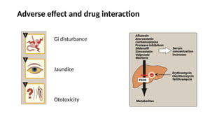 Adverse effect and drug interaction
Gi disturbance
Jaundice
Ototoxicity
 