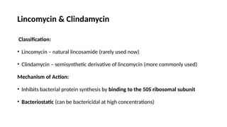 Lincomycin & Clindamycin
Classification:
• Lincomycin – natural lincosamide (rarely used now)
• Clindamycin – semisynthetic derivative of lincomycin (more commonly used)
Mechanism of Action:
• Inhibits bacterial protein synthesis by binding to the 50S ribosomal subunit
• Bacteriostatic (can be bactericidal at high concentrations)
 