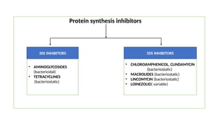 Protein synthesis inhibitors
• AMINOGLYCOSIDES
(bactericidal)
• TETRACYCLINES
(bacteriostatic)
• CHLOROAMPHENICOL, CLINDAMYCIN
(bacteriostatic)
• MACROLIDES (bacteriostatic)
• LINCOMYCIN (bacteriostatic)
• LOINEZOLID( variable)
30S INHIBITORS 50S INHIBITORS
 