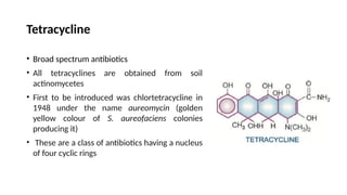 Tetracycline
• Broad spectrum antibiotics
• All tetracyclines are obtained from soil
actinomycetes
• First to be introduced was chlortetracycline in
1948 under the name aureomycin (golden
yellow colour of S. aureofaciens colonies
producing it)
• These are a class of antibiotics having a nucleus
of four cyclic rings
 