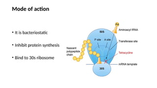 Mode of action
• It is bacteriostatic
• Inhibit protein synthesis
• Bind to 30s ribosome
 