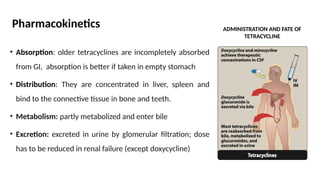 Pharmacokinetics
• Absorption: older tetracyclines are incompletely absorbed
from GI, absorption is better if taken in empty stomach
• Distribution: They are concentrated in liver, spleen and
bind to the connective tissue in bone and teeth.
• Metabolism: partly metabolized and enter bile
• Excretion: excreted in urine by glomerular filtration; dose
has to be reduced in renal failure (except doxycycline)
ADMINISTRATION AND FATE OF
TETRACYCLINE
 