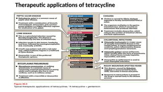 Therapeutic applications of tetracycline
 