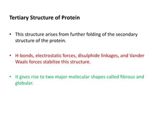 Tertiary Structure of Protein
• This structure arises from further folding of the secondary
structure of the protein.
• H-bonds, electrostatic forces, disulphide linkages, and Vander
Waals forces stabilize this structure.
• It gives rise to two major molecular shapes called fibrous and
globular.
 