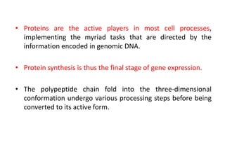 • Proteins are the active players in most cell processes,
implementing the myriad tasks that are directed by the
information encoded in genomic DNA.
• Protein synthesis is thus the final stage of gene expression.
• The polypeptide chain fold into the three-dimensional
conformation undergo various processing steps before being
converted to its active form.
 