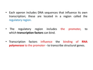 • Each operon includes DNA sequences that influence its own
transcription; these are located in a region called the
regulatory region.
• The regulatory region includes the promoter, to
which transcription factors can bind.
• Transcription factors influence the binding of RNA
polymerase to the promoter - to transcribe structural genes.
 
