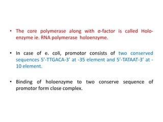 • The core polymerase along with σ-factor is called Holo-
enzyme ie. RNA polymerase holoenzyme.
• In case of e. coli, promotor consists of two conserved
sequences 5’-TTGACA-3’ at -35 element and 5’-TATAAT-3’ at -
10 element.
• Binding of holoenzyme to two conserve sequence of
promotor form close complex.
 