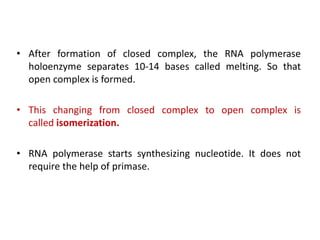 • After formation of closed complex, the RNA polymerase
holoenzyme separates 10-14 bases called melting. So that
open complex is formed.
• This changing from closed complex to open complex is
called isomerization.
• RNA polymerase starts synthesizing nucleotide. It does not
require the help of primase.
 