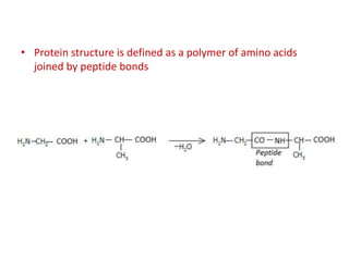 • Protein structure is defined as a polymer of amino acids
joined by peptide bonds
 