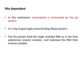 Rho dependent
• In this mechanism, transcription is terminated by rho (ρ)
protein.
• It is ring shaped single strand binding ATpase protein.
• The rho protein bind the single stranded RNA as it exit from
polymerase enzyme complex and hydrolyse the RNA from
enzyme complex.
 
