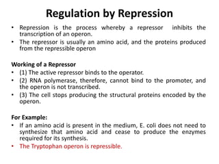 Regulation by Repression
• Repression is the process whereby a repressor inhibits the
transcription of an operon.
• The repressor is usually an amino acid, and the proteins produced
from the repressible operon
Working of a Repressor
• (1) The active repressor binds to the operator.
• (2) RNA polymerase, therefore, cannot bind to the promoter, and
the operon is not transcribed.
• (3) The cell stops producing the structural proteins encoded by the
operon.
For Example:
• If an amino acid is present in the medium, E. coli does not need to
synthesize that amino acid and cease to produce the enzymes
required for its synthesis.
• The Tryptophan operon is repressible.
 