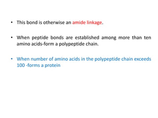 • This bond is otherwise an amide linkage.
• When peptide bonds are established among more than ten
amino acids-form a polypeptide chain.
• When number of amino acids in the polypeptide chain exceeds
100 -forms a protein
 
