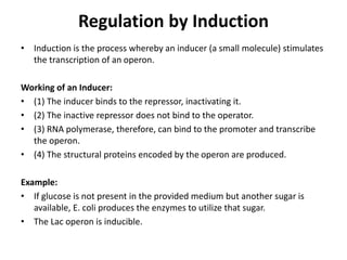 Regulation by Induction
• Induction is the process whereby an inducer (a small molecule) stimulates
the transcription of an operon.
Working of an Inducer:
• (1) The inducer binds to the repressor, inactivating it.
• (2) The inactive repressor does not bind to the operator.
• (3) RNA polymerase, therefore, can bind to the promoter and transcribe
the operon.
• (4) The structural proteins encoded by the operon are produced.
Example:
• If glucose is not present in the provided medium but another sugar is
available, E. coli produces the enzymes to utilize that sugar.
• The Lac operon is inducible.
 