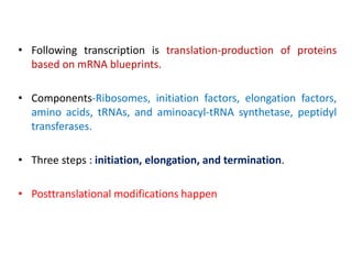 • Following transcription is translation-production of proteins
based on mRNA blueprints.
• Components-Ribosomes, initiation factors, elongation factors,
amino acids, tRNAs, and aminoacyl-tRNA synthetase, peptidyl
transferases.
• Three steps : initiation, elongation, and termination.
• Posttranslational modifications happen
 