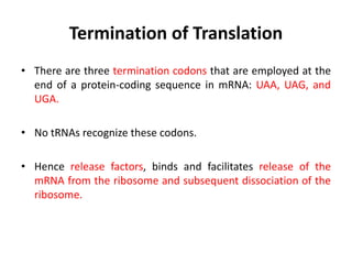 Termination of Translation
• There are three termination codons that are employed at the
end of a protein-coding sequence in mRNA: UAA, UAG, and
UGA.
• No tRNAs recognize these codons.
• Hence release factors, binds and facilitates release of the
mRNA from the ribosome and subsequent dissociation of the
ribosome.
 