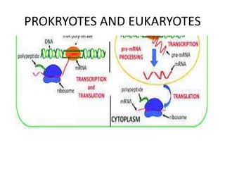 PROKRYOTES AND EUKARYOTES
 