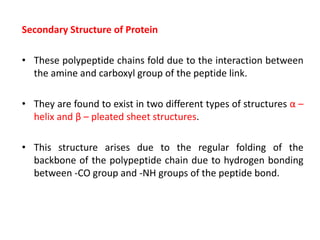 Secondary Structure of Protein
• These polypeptide chains fold due to the interaction between
the amine and carboxyl group of the peptide link.
• They are found to exist in two different types of structures α –
helix and β – pleated sheet structures.
• This structure arises due to the regular folding of the
backbone of the polypeptide chain due to hydrogen bonding
between -CO group and -NH groups of the peptide bond.
 