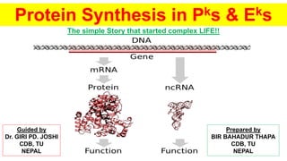 Protein Synthesis in Pks & Eks
The simple Story that started complex LIFE!!
Prepared by
BIR BAHADUR THAPA
CDB, TU
NEPAL
Guided by
Dr. GIRI PD. JOSHI
CDB, TU
NEPAL
 