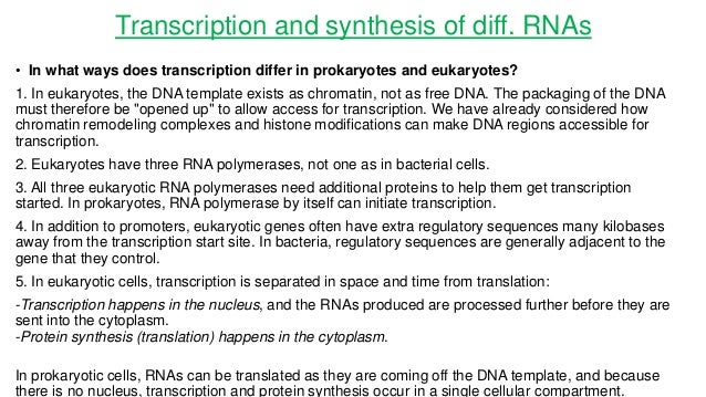 my computer essay topics xyzzy