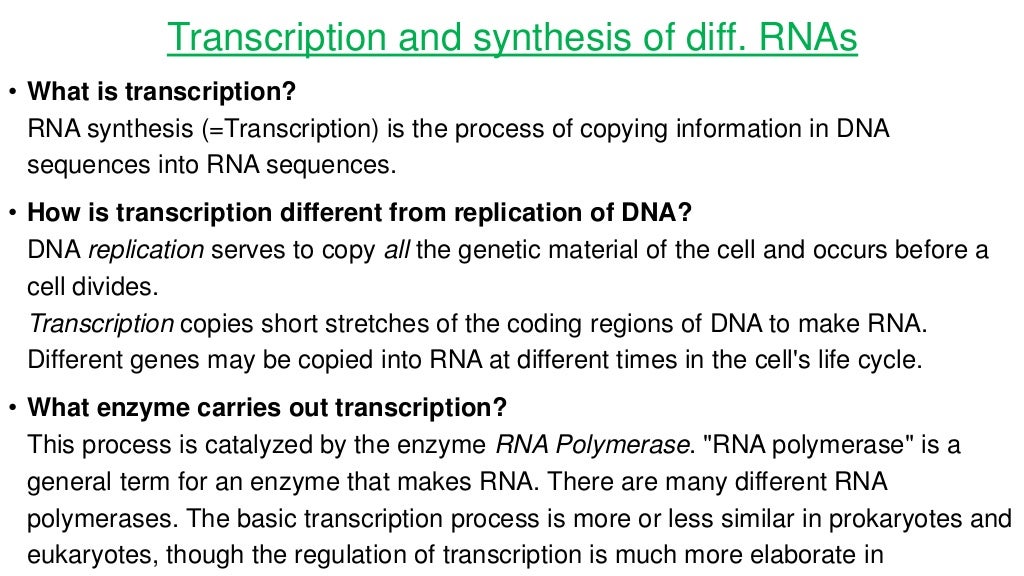Protein Synthesis in Prokaryotes and Eukaroytes