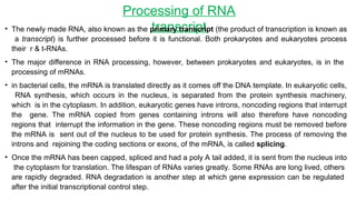 Comprehensive Overview of Protein Synthesis in Prokaryotes and ...