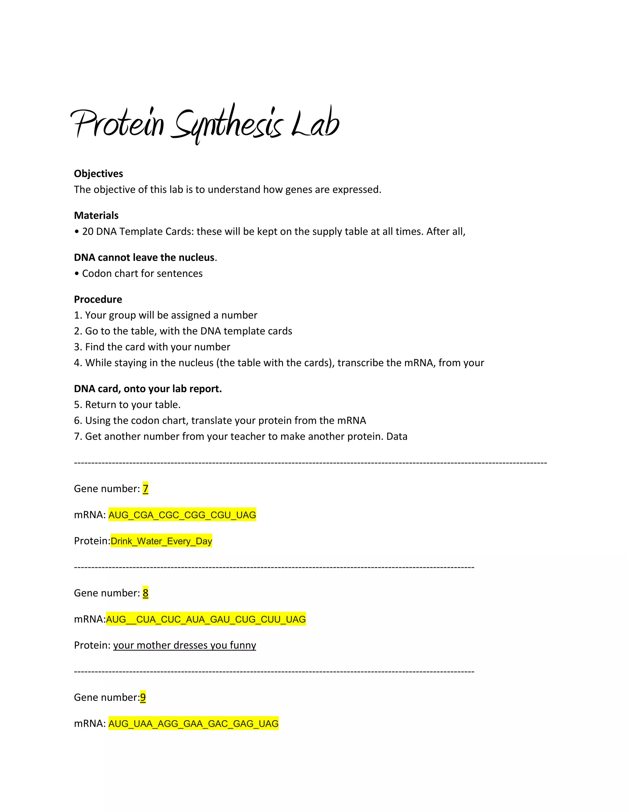 Protein synthesis lab PDF