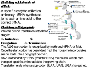 Protein synthesis mechanism with reference of Translation and ...