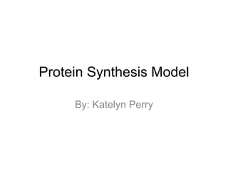 Protein Synthesis Model
By: Katelyn Perry

 