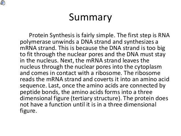 Kperry Protein Synthesis Model