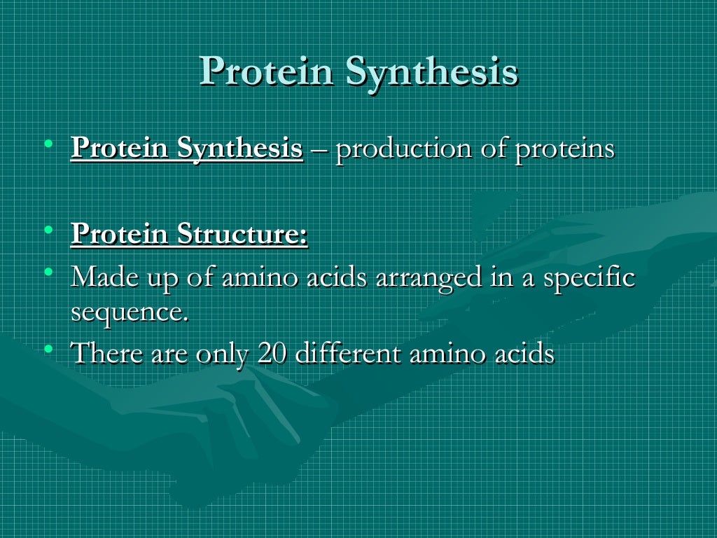 Protein Synthesis Notes