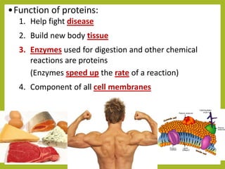 Protein Synthesis PPT.pptx