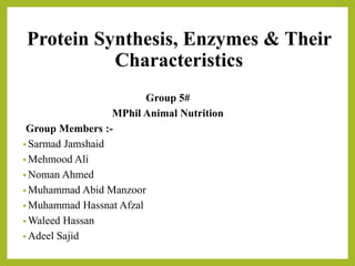 Protein Synthesis, Enzymes & Their
Characteristics
Group 5#
MPhil Animal Nutrition
Group Members :-
• Sarmad Jamshaid
• Mehmood Ali
• Noman Ahmed
• Muhammad Abid Manzoor
• Muhammad Hassnat Afzal
• Waleed Hassan
• Adeel Sajid
 