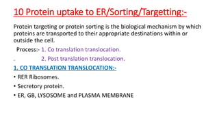 Sortagging Reaction Protein synthesis. | PPTX