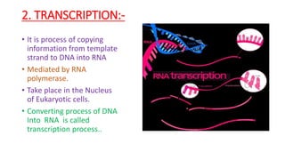 Protein synthesis. | PPTX