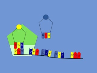 U
G U
U U AA

A
A
A G
G

G
C G

U A
C C
A

G U A
G
T A

G T A

 