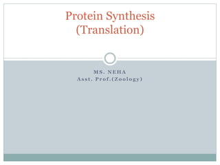 M S . N E H A
A s s t . P r o f . ( Z o o l o g y )
Protein Synthesis
(Translation)
 