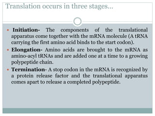 Translation occurs in three stages...
 Initiation- The components of the translational
apparatus come together with the mRNA molecule (A tRNA
carrying the first amino acid binds to the start codon).
 Elongation- Amino acids are brought to the mRNA as
amino-acyl tRNAs and are added one at a time to a growing
polypeptide chain.
 Termination- A stop codon in the mRNA is recognized by
a protein release factor and the translational apparatus
comes apart to release a completed polypeptide.
 
