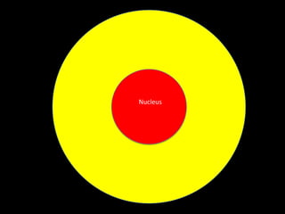 Nucleus

 