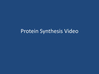 Protein Synthesis Video 