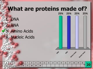 What are proteins made of? DNA RNA Amino Acids Nucleic Acids 20 1 2 3 4 5 6 7 8 9 10 11 12 13 14 15 16 17 18 19 20 21 22 23 24 25 26 27 28 29 30 