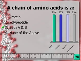 A chain of amino acids is a: Protein Polypeptide Both A & B None of the Above 1 2 3 4 5 6 7 8 9 10 11 12 13 14 15 16 17 18 19 20 21 22 23 24 25 26 27 28 29 30 20 