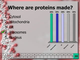 Where are proteins made? Cytosol Mitochondria ER Ribosomes Nucleus 20 1 2 3 4 5 6 7 8 9 10 11 12 13 14 15 16 17 18 19 20 21 22 23 24 25 26 27 28 29 30 