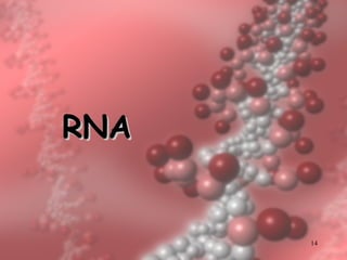 RNA 